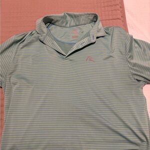 Rhoback Light Blue and Green Striped Polo